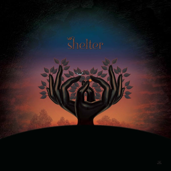  |   | Laughing Stock - Shelter (LP) | Records on Vinyl