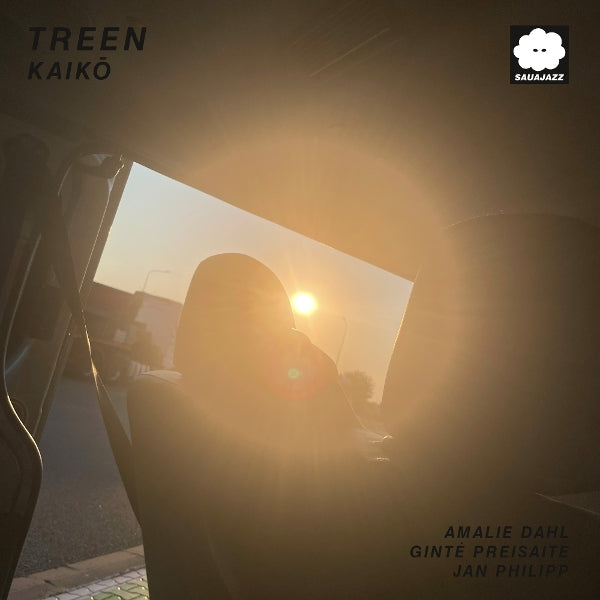  |  Vinyl LP | Treen - Kaiko (LP) | Records on Vinyl