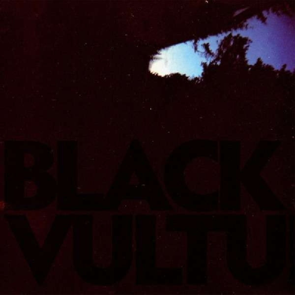  |   | Daniel Norgren - Black Vultures (LP) | Records on Vinyl