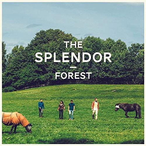 Splendor - Forest (2 LPs) Cover Arts and Media | Records on Vinyl