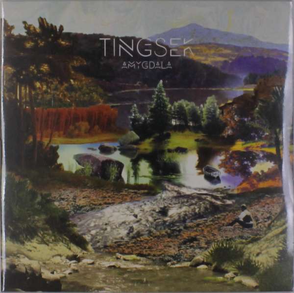 Tingsek - Amygdala (2 LPs) Cover Arts and Media | Records on Vinyl