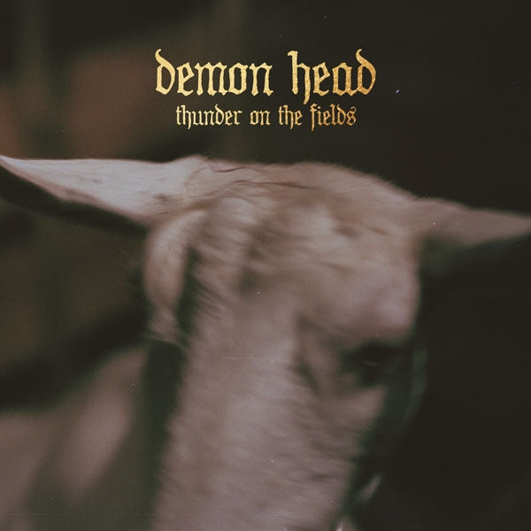  |   | Demon Head - Thunder On the Fields (LP) | Records on Vinyl