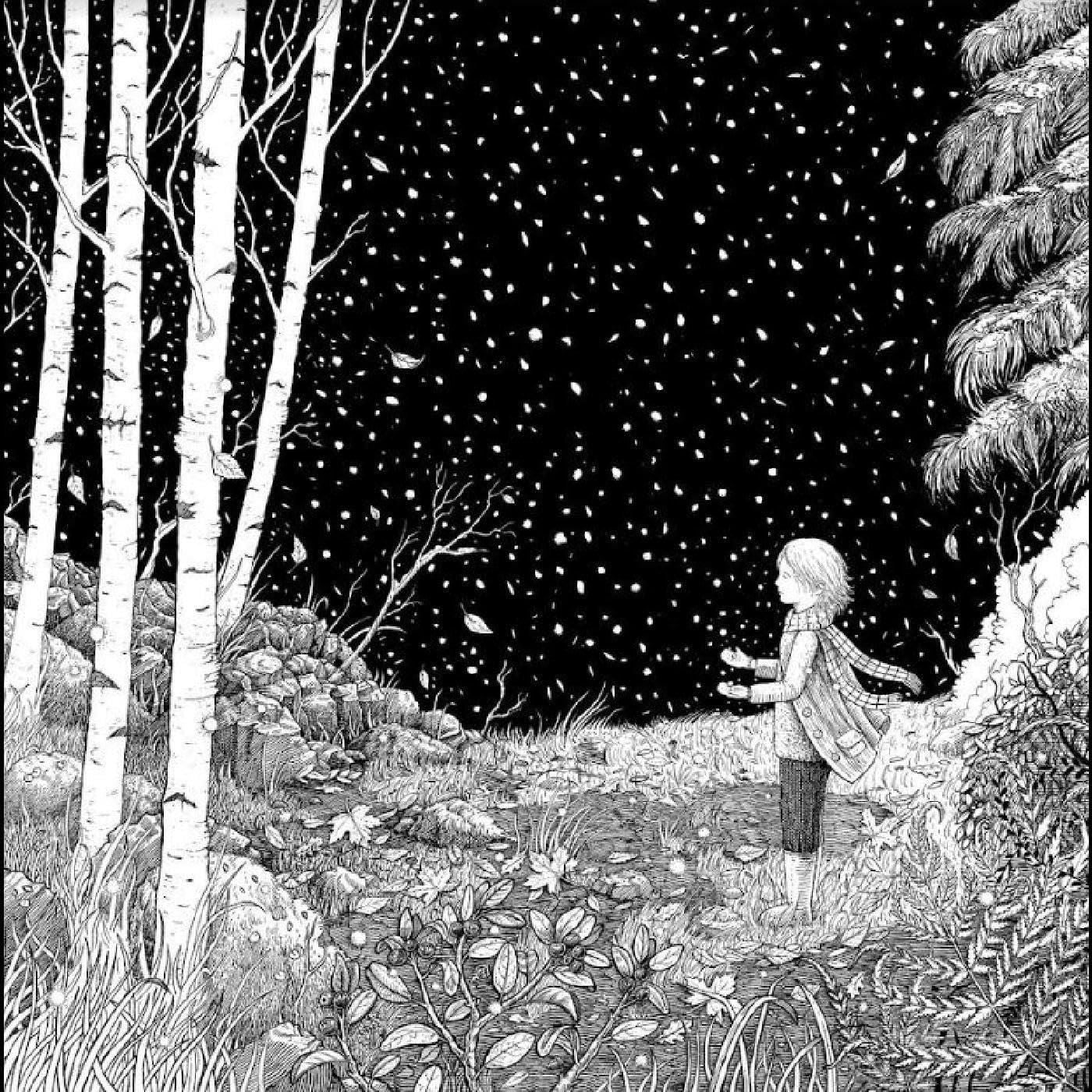 Lustre - The First Snow & Reverence (LP) Cover Arts and Media | Records on Vinyl