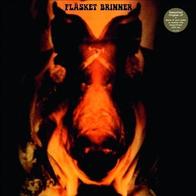 Flasket Brinner - Flasket Brinner (2 LPs) Cover Arts and Media | Records on Vinyl