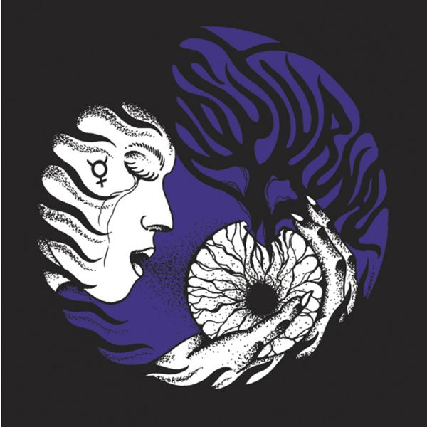 Nocturnal - Night Rainbow (Single) Cover Arts and Media | Records on Vinyl