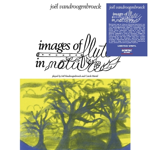  |   | Joel Vandroogenbroeck - Images of Flute In Nature (LP) | Records on Vinyl