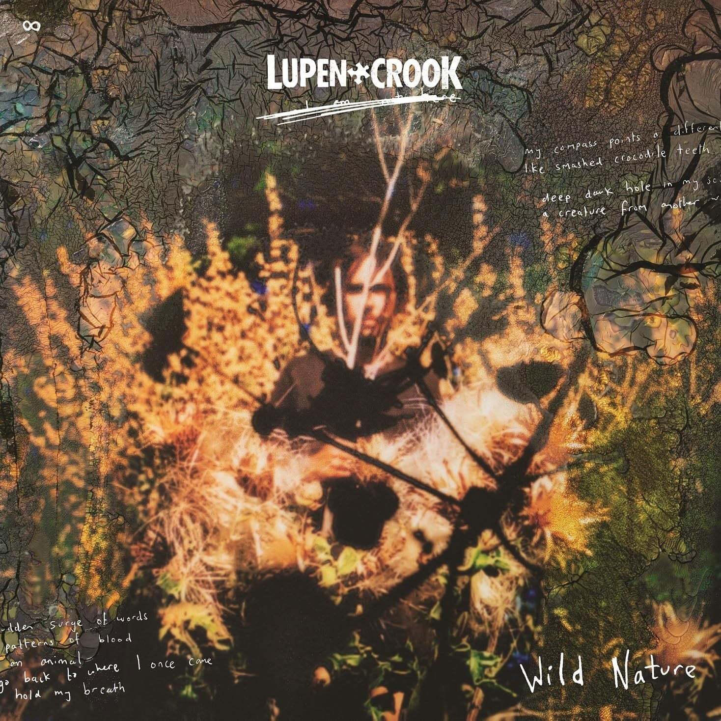 Lupen Crook - Wild Nature (LP) Cover Arts and Media | Records on Vinyl