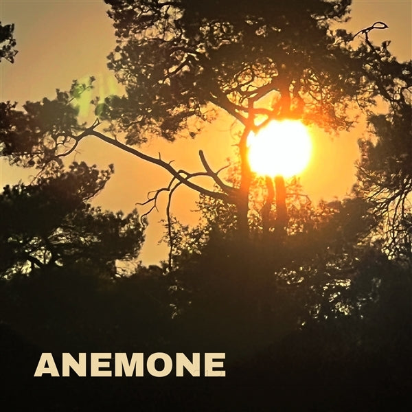  |   | Anemone - Freebird (LP) | Records on Vinyl