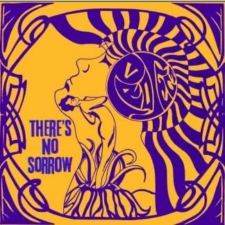 Project V - There's No Sorrow (Single) Cover Arts and Media | Records on Vinyl