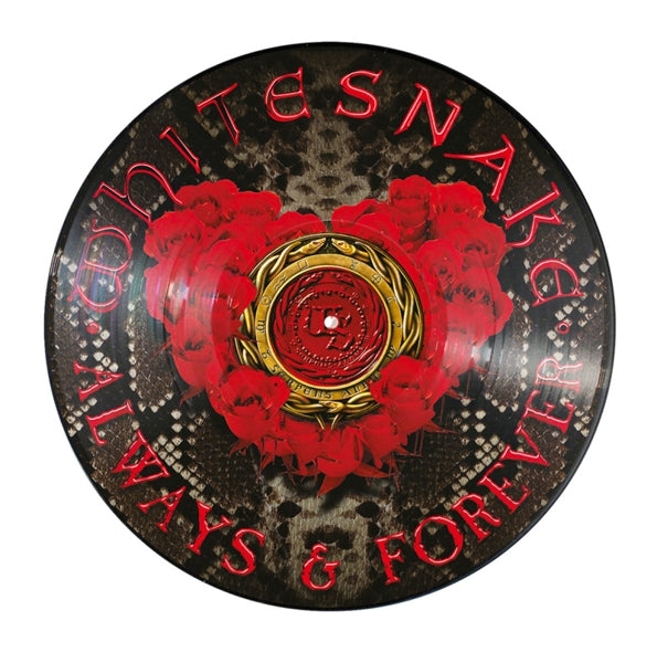  |   | Whitesnake - Always & Forever (Single) | Records on Vinyl