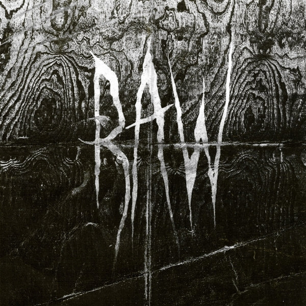 Raw - From the First Glass To the Grave (LP) Cover Arts and Media | Records on Vinyl