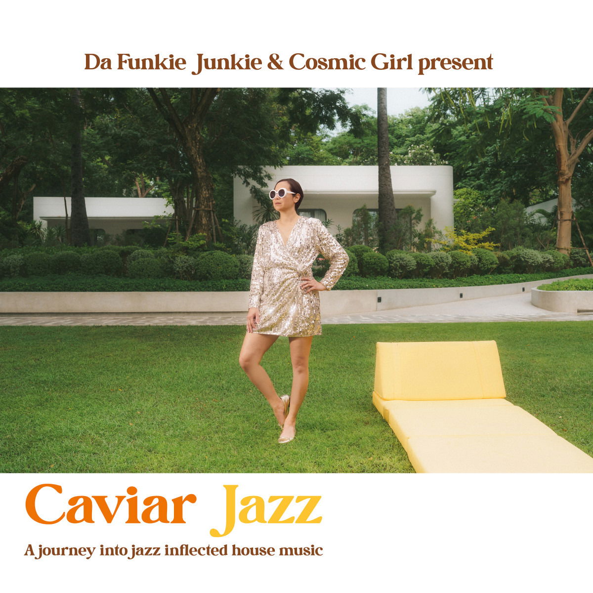 V/A - Caviar Jazz - a Journey Into Jazz Inflected House Music (LP) Cover Arts and Media | Records on Vinyl