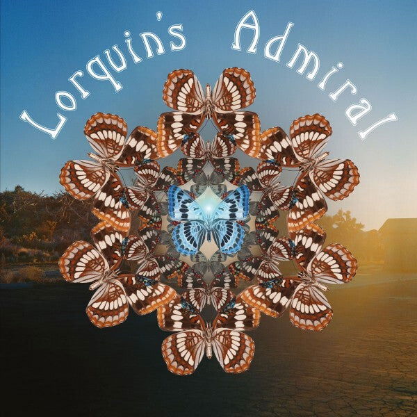 Lorquins Admiral - Lorquins Admiral (LP) Cover Arts and Media | Records on Vinyl