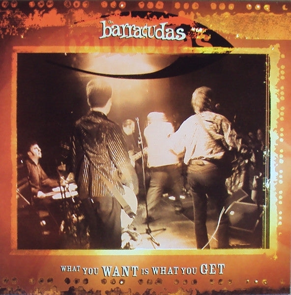  |   | Barracudas - What You Want is What.. (Single) | Records on Vinyl