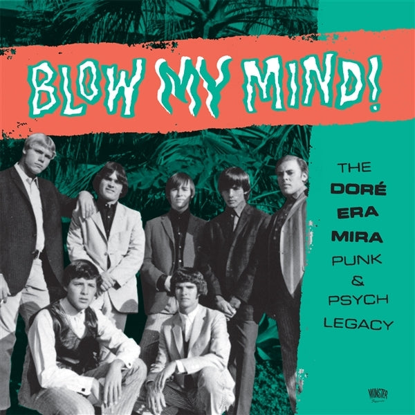 |   | V/A - Blow My Mind! (2 LPs) | Records on Vinyl
