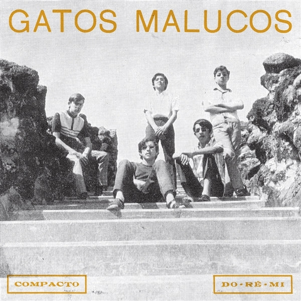  |   | Gatos Malucos - Sem Ver O Luar (LP) | Records on Vinyl