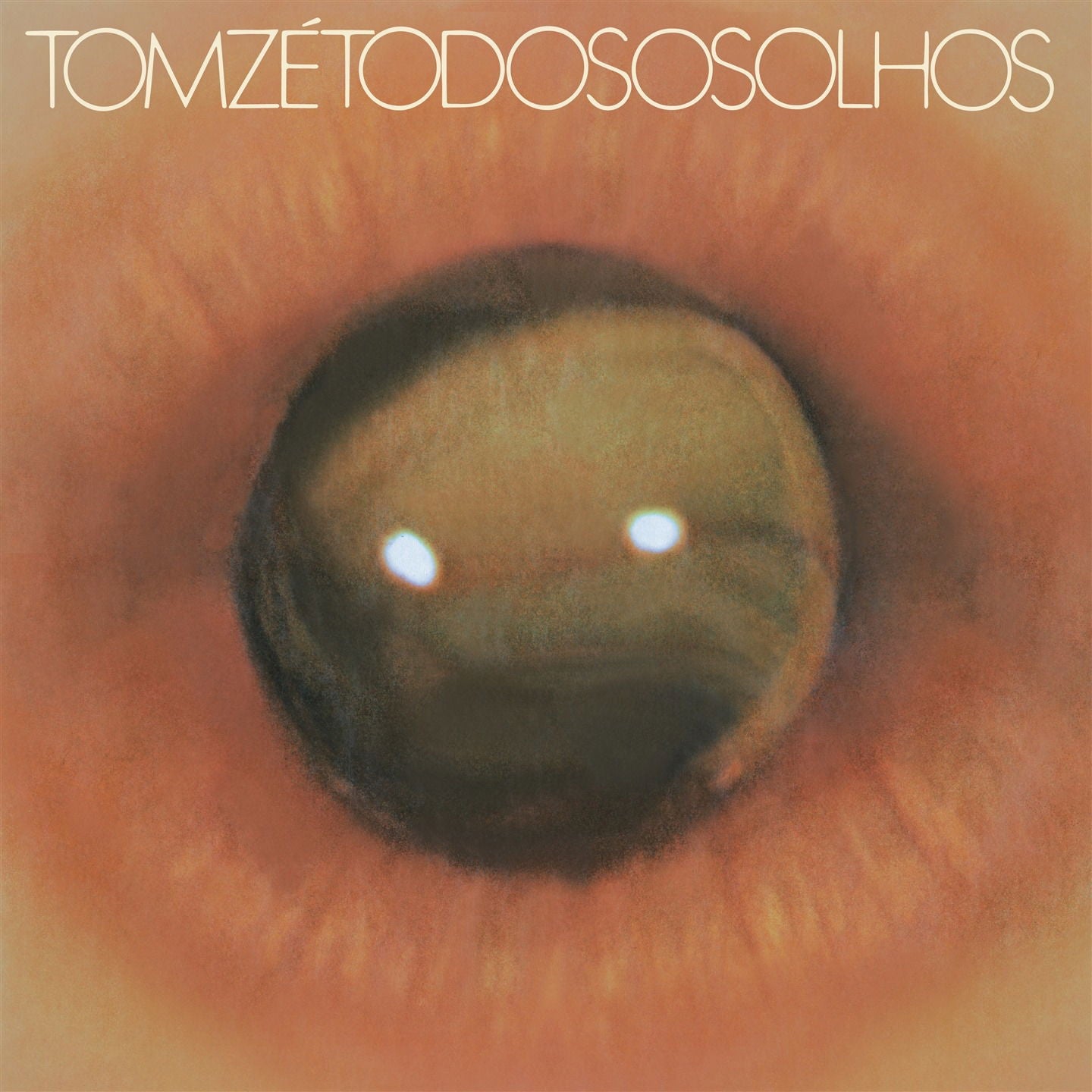 Tom Ze - Todos Os Olhos (LP) Cover Arts and Media | Records on Vinyl
