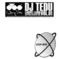 DJ Tedu - Loops Land (LP) Cover Arts and Media | Records on Vinyl