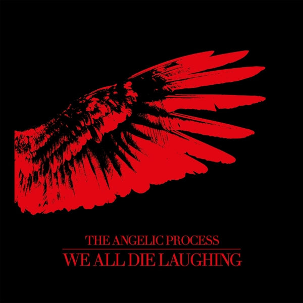  |   | Angelic Process - We All Die Laughing (6 LPs) | Records on Vinyl