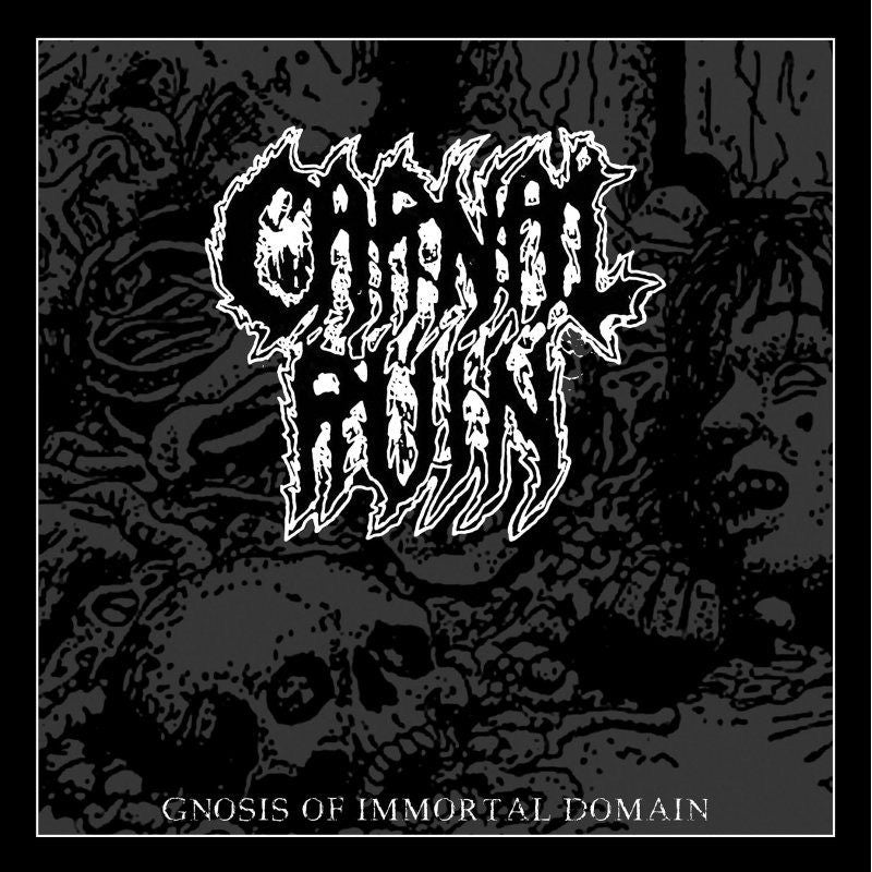 Carnal Ruin - Gnosis of Immortal Domain (LP) Cover Arts and Media | Records on Vinyl