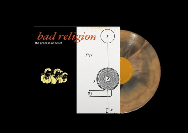  |   | Bad Religion - Process of Belief (LP) | Records on Vinyl