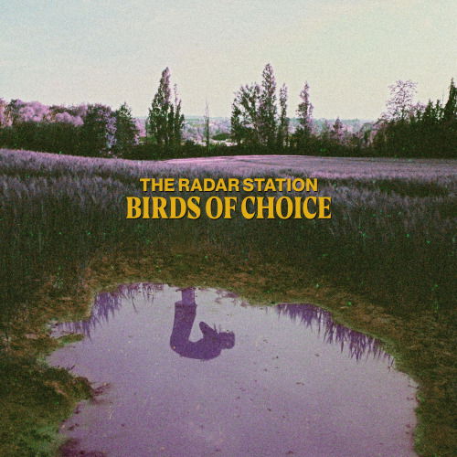 Radar Station - Birds of Choice (LP) Cover Arts and Media | Records on Vinyl