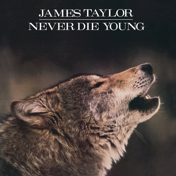James Taylor - Never Die Young (LP) Cover Arts and Media | Records on Vinyl