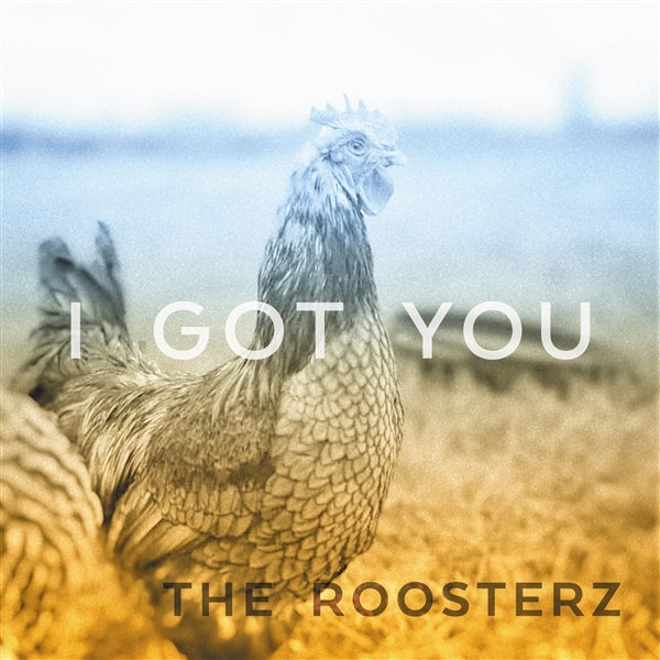  |   | Roosterz - I Got You (Single) | Records on Vinyl