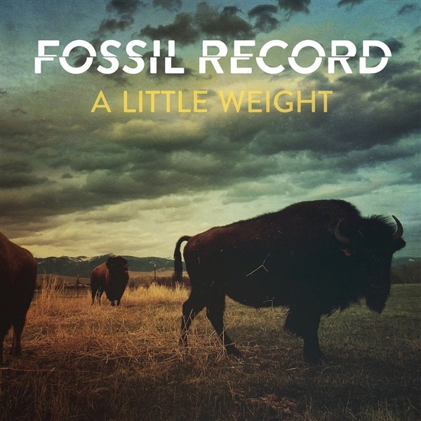  |   | Fossil Evolution - A Little Weight (LP) | Records on Vinyl