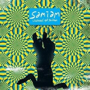 Samiam - Whatever's Got You Down (LP) Cover Arts and Media | Records on Vinyl