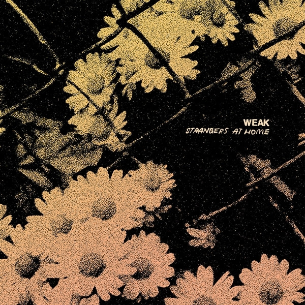  |  Vinyl LP | Weak - Strangers At Home (LP) | Records on Vinyl