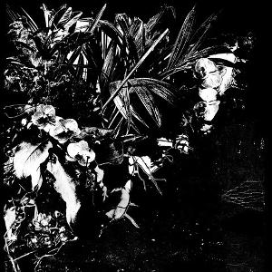 Jeff Mertens - Orchid Alto (LP) Cover Arts and Media | Records on Vinyl