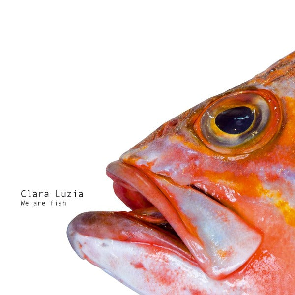  |   | Clara Luzia - We Are Fish (LP) | Records on Vinyl