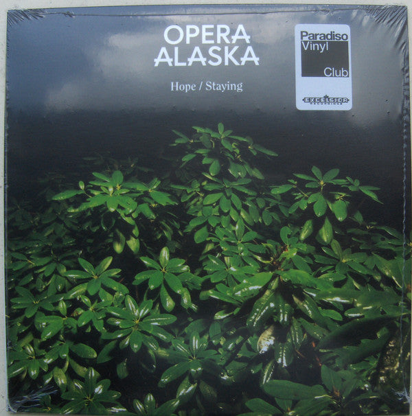 Opera Alaska - Staying/Hope (Single) Cover Arts and Media | Records on Vinyl