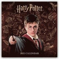 Harry Potter Official Calendar Cover Arts and Media | Records on Vinyl