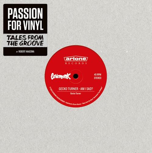 Robert Haagsma - Passion for Vinyl III  (Boek)