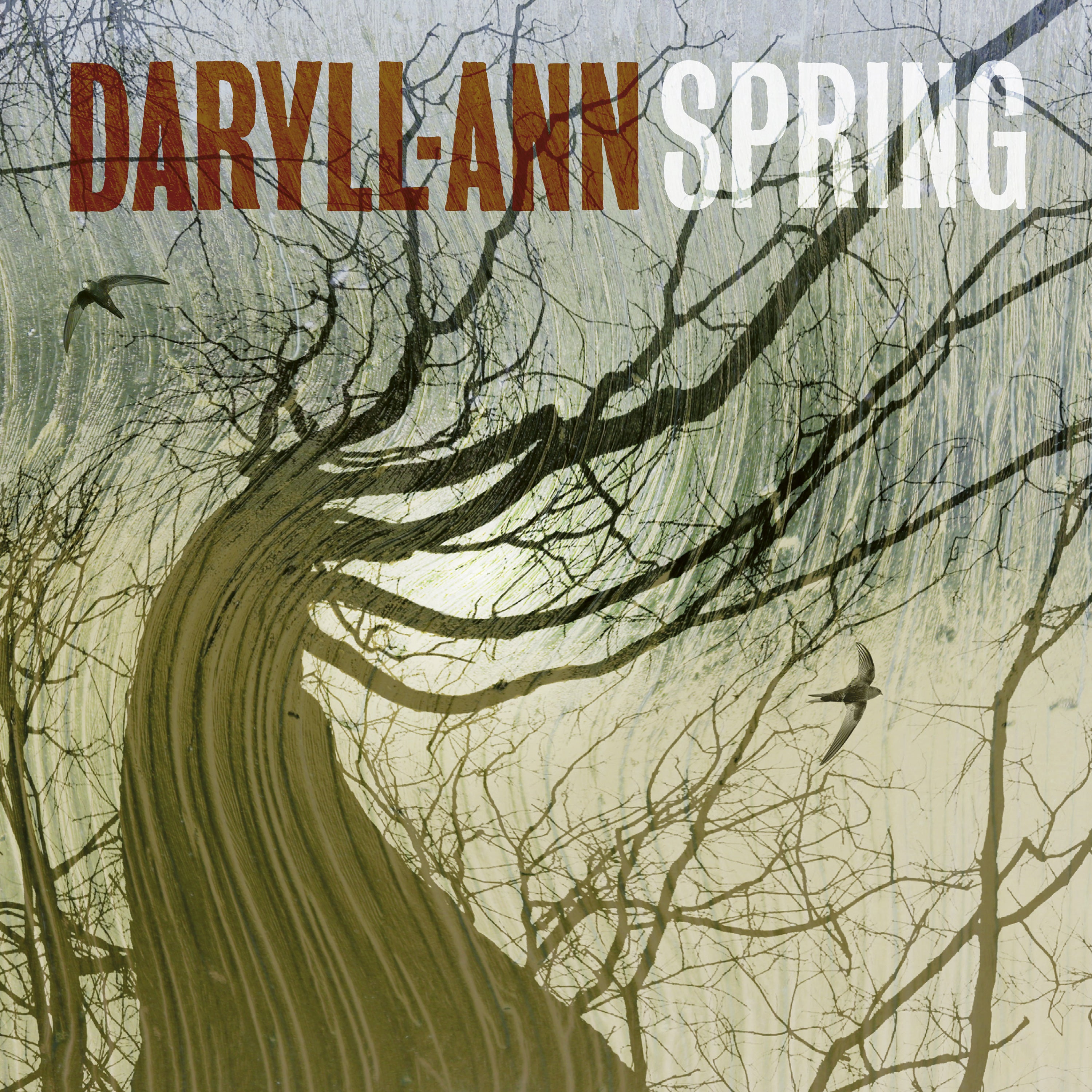  |  Vinyl LP | Daryll Ann - Spring (LP) | Records on Vinyl