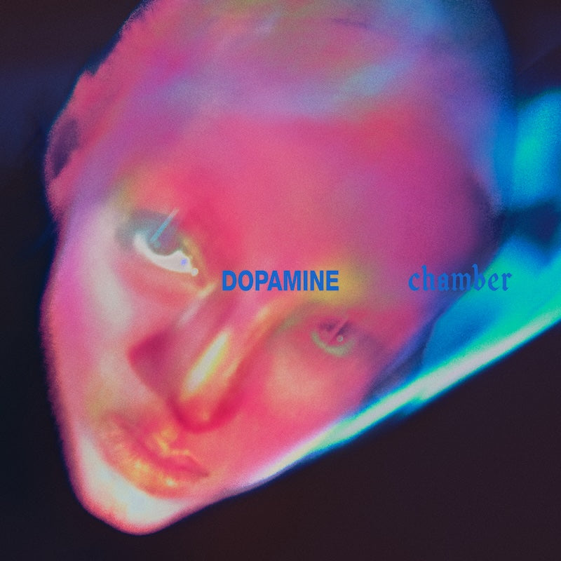 Fontaines D.C. - Dopamine Chamber (LP)