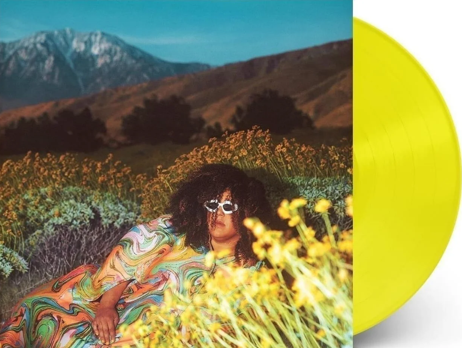 Brittany Howard - What Now (LP)