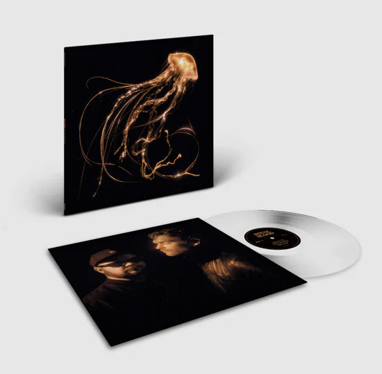 Royal Blood - Back To the Water Below (LP)