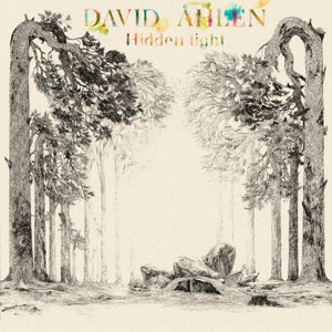  |  Vinyl LP | David Ahlen - Hidden Light (LP) | Records on Vinyl