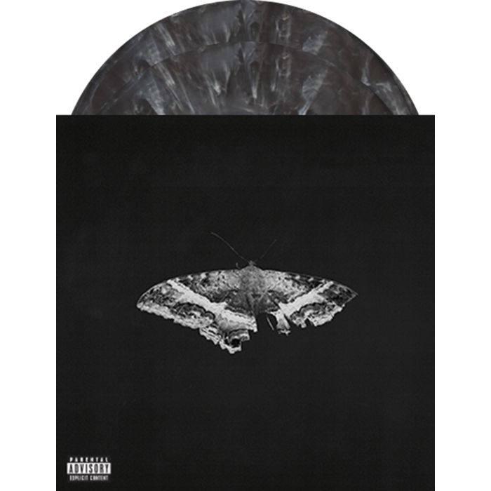  |  Vinyl LP | Kendrick Lamar - To Pimp a Butterfly (2 LPs) | Records on Vinyl