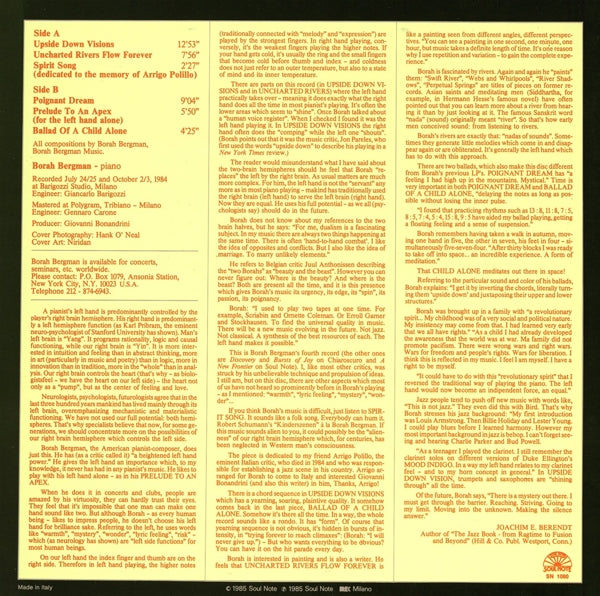Borah Bergman - Upside Down Visions |  Vinyl LP | Borah Bergman - Upside Down Visions (LP) | Records on Vinyl