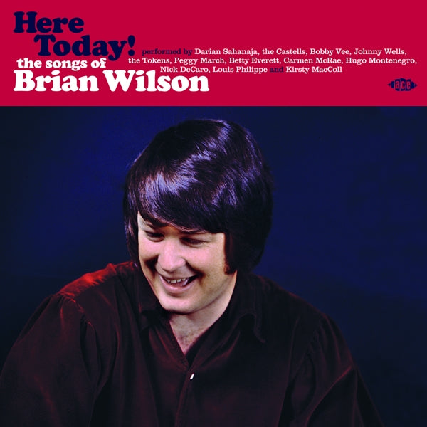 Brian (Tribute) Wilson - Here Today! |  Vinyl LP | Brian (Tribute) Wilson - Here Today! (LP) | Records on Vinyl