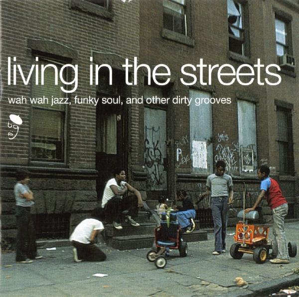  |  Vinyl LP | V/A - Living In the Streets (2 LPs) | Records on Vinyl