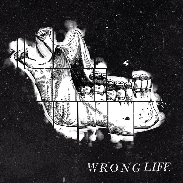  |  Vinyl LP | Wrong Life - Wrong Life (LP) | Records on Vinyl