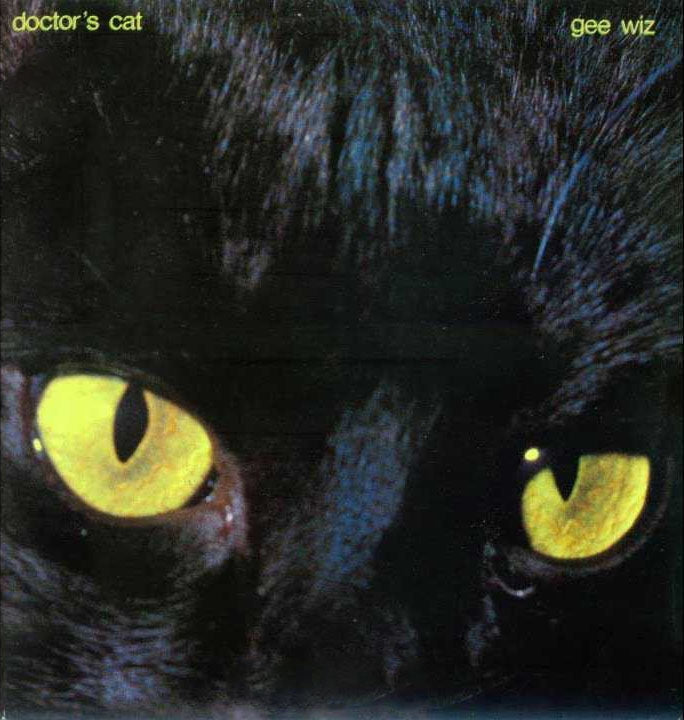  |  Vinyl LP | Doctor's Cat - Gee Wiz (LP) | Records on Vinyl
