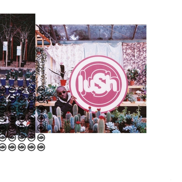  |  Vinyl LP | Lush - Lovelife (LP) | Records on Vinyl