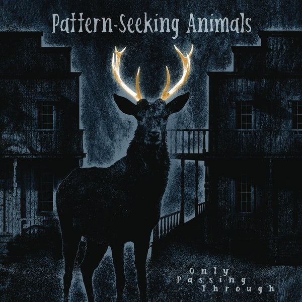  |  Vinyl LP | Pattern-Seeking Animals - Only Passing Through (3 LPs) | Records on Vinyl