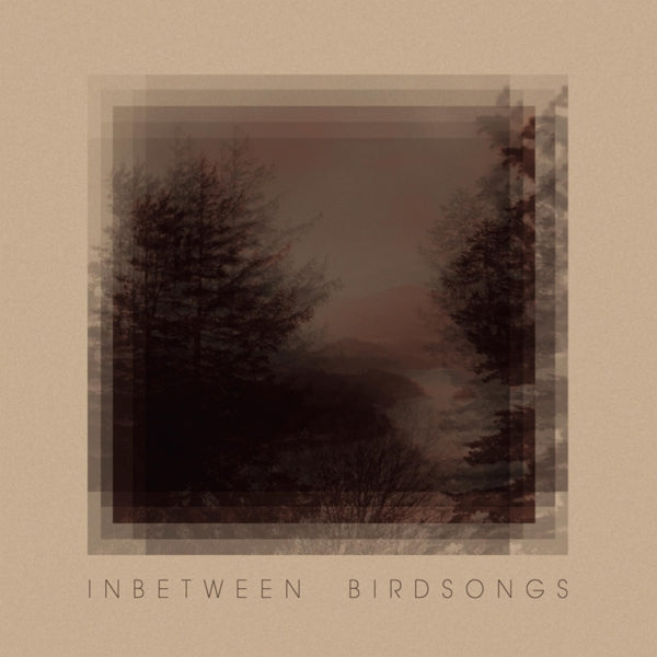 Matthias Gusset - Inbetween Birdsongs |  Vinyl LP | Matthias Gusset - Inbetween Birdsongs (LP) | Records on Vinyl